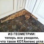 котангенс.jpg