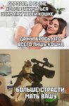 кошка.jpg