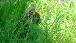 20250630_132258.jpg