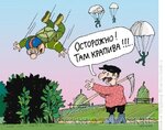 крапива.jpg