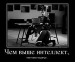 802f045c1b.jpg