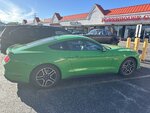IMG_7906.jpeg