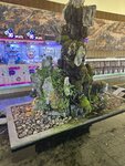 IMG_8089.jpeg