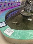 IMG_8084.jpeg