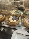IMG_8100.jpeg