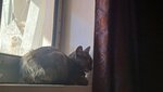 20260426_094701.jpg