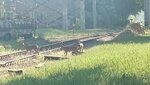 20260526_073555.jpg
