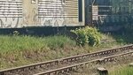 20260526_073607.jpg