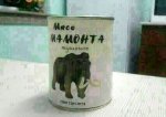 мясо мамонта.jpg